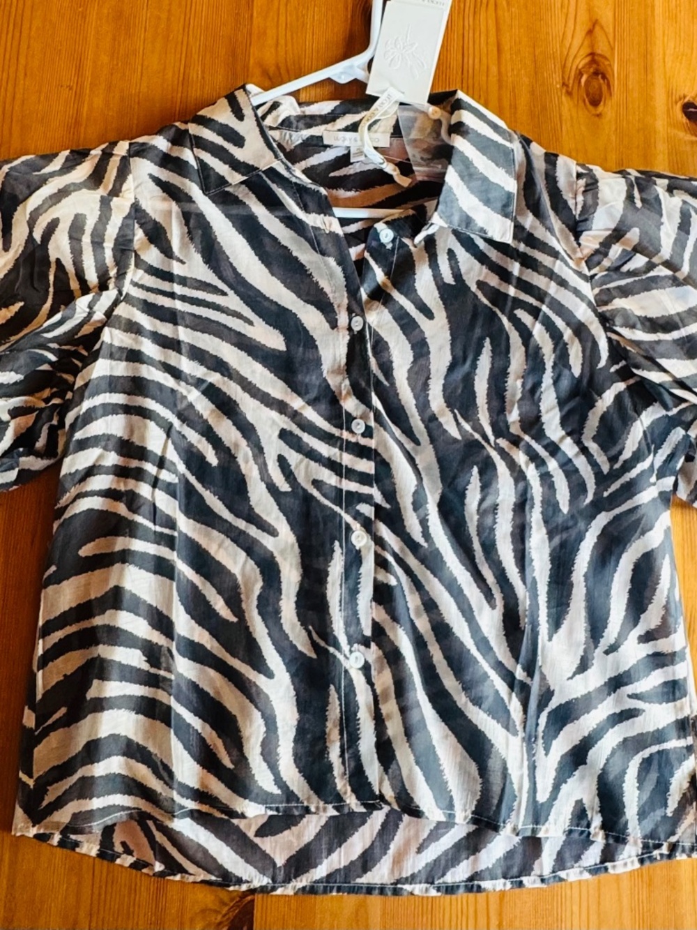 Zebra ISH